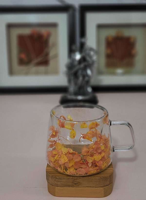 لیوان دوجداره گلدار پیرکس