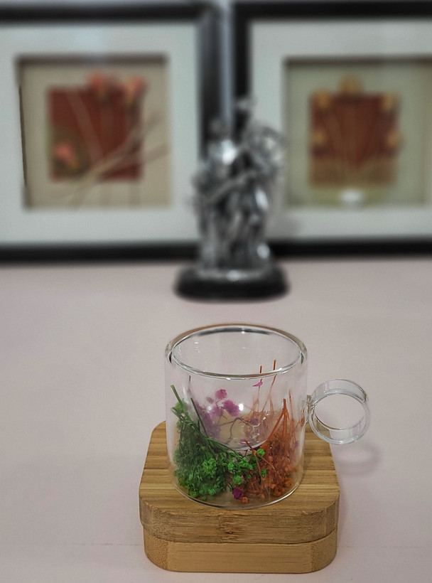 لیوان دوجداره گل خشک پیرکس
